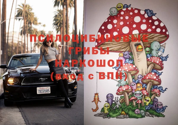 ешки Баксан