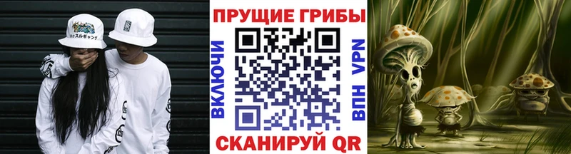 Псилоцибиновые грибы мицелий  omg зеркало  Белоусово 